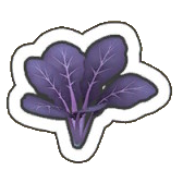 Lilac Spinach