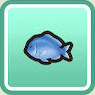 Medium Fish